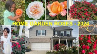 Knockout Roses in home garden | Irene Baby | Olivia Rose | USA Vlogs | Atlanta