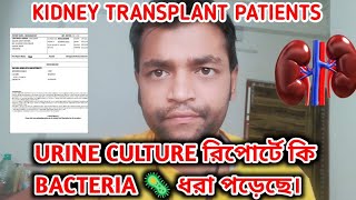 URINE CULTURE রিপোর্টে কি BACTERIA 🦠 ধরা পড়েছে || Urine culture report after kidney Transplant.