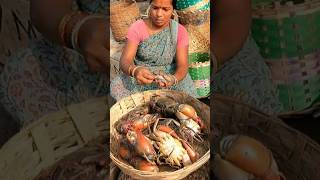 🔴Live mud crabs sales 🦀🔥Kasimedu fish market🔥👌#youtubeshorts