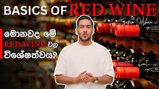 Red වයින් ගැන දැනගමු | Red wine කොහොමද හදන්නේ? | Red wine basics knowledge | What is the red wine