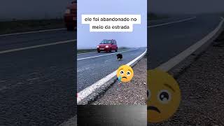 Cachorrinho encontrado abandonado na estrada #shorts