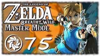 Breath of the Wild: Master Mode - PART 75 - 200 IQ GAMEPLAY!