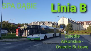 SPA Dąbie, linia B - Solaris Urbino 18 III #2065