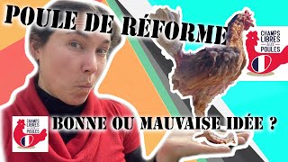 adopter une poule de réforme c'est cool