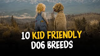 Top 10 Kid Friendly Dog breeds 🐾