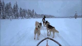 Lapland trip 2016