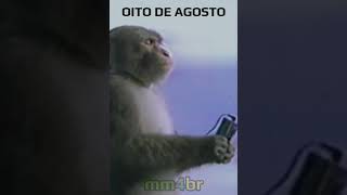 oito de agosto - áudios do mma 🔊