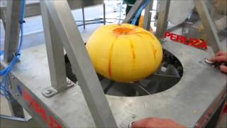 PERUZA_Pumpkin processing line