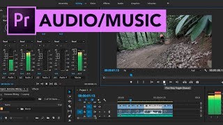 6 | Work with Audio and Add Music | Urdu/Hindi