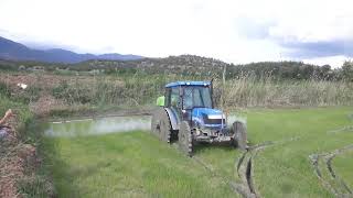 Newholland tt55 demirteker prinç tarlasına ilaç atımı izleyin Abone olun 😇