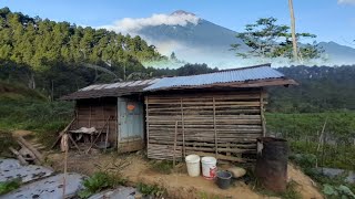 Waah Seenak Ini Suasana Di Persawahan Di perkampungan Desa Tenang jauh dari kebisingan