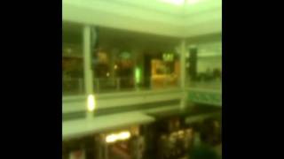 Galleria Mall Of Buffalo, NY