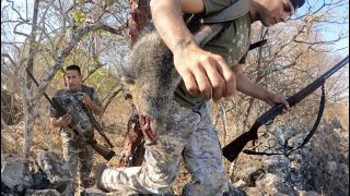 Caceria de JABALI 2023 con  PERROS en las sierras de MEXICO!!!!🐗🔥