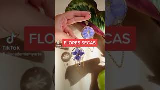 APRENDE A SECAR FLORES y úsalas en tu joyería artesanal