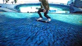 ea skate 2