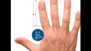 How To Judge A Man By His Fingers | Science News