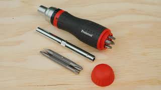 Proferred: 19 in 1 Ratcheting Screwdriver