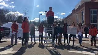 Wellesley High School walkout to protest gun violence inaction