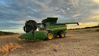 Rain days and then back to harvest 2021