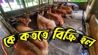 কেন আগে গরুর দাম বলিনাই || এতদিন কোথায় ছিলাম || Purbasha Agro