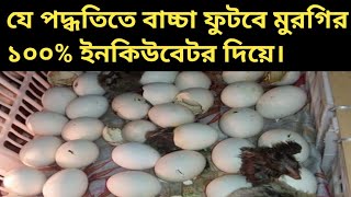 যে পদ্ধতিতে মুরগির বাচ্চা ফুটবে ১০০% ইনকিউবেটর দিয়ে।