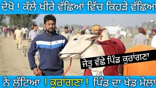 Kurangna Pind Winner Ox Jodi ।Bailgaddiyan diyan doran। Top Bald Race ।