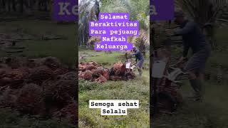 pejuang Nafkah Keluarga