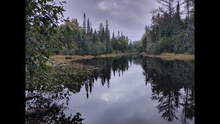 Camping at Bonnechere Park & Pretty Lake