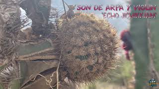 SON DE ARPA Y VIOLIN - ECHO JICHIKKIAM #suscribete #comparte