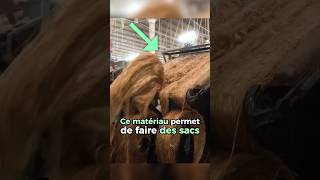 Ce matériau permet de faire des vêtements #innovation #inventions