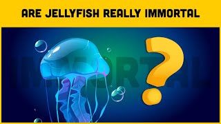 Are Jellyfishes Really Immortal