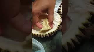 Rasa Durian Enak Murah Rp50 Ribu dapat 3 di Pekanbaru #shorts