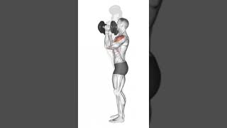 How to do the Dumbbell workout press #shorts #youtubeshorts