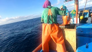 Mira!! como trabajan estos Hombres para Pescar grandes Pescados en Mar