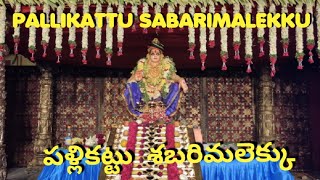 Ayyappa swamy song || pallikattu sabarimalikku song || #ayyappaswamysongs