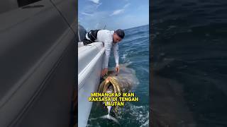 MENANGKAP IKAN RAKSASA DILAUT #shorts