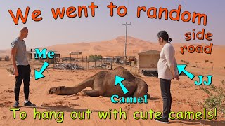 Visiting Cute Camels in Saudi Arabian Desert! Explore Saudi. Inside Saudi Arabia. Is it safe? PART 4