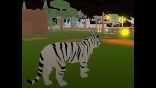 Tiger throws a fireball