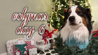 Vlogmas day 6! Pop Shelf haul and trimming feet