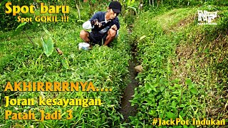 Spot baru...GOKIL !!! Akhirnya joran kesayangan patah jadi 3 || jackpot indukan #microfishing