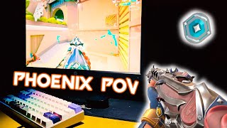 Is Phoenix Best For TDM  ( Mouse POV )