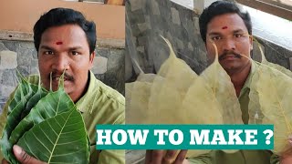 How to make leaf skeleton at home step by step without chemicals, Amazing DIY Craft  #leafart