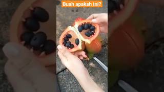 Buah apakah ini? #buahlangka #asmr