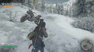 Days Gone Nidi2