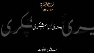 #bashak ALLAH sabar karne walon ke sath h ☝️❤️.......#trendingstatus #trendingvideo #islamicvideo