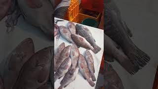 मालाड फिश मार्केट #fish Malad Fish Market