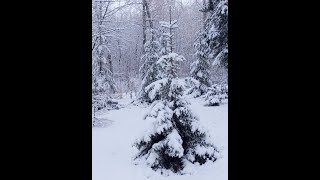 Первый снег на Урале/В деревне не страшны холода/Купили дом в деревне