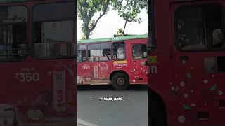 TATA MARCPOLO BS6 MUT Bus 🤩#bestbus #buspotting #mumbaibestbuses #mumbai #ytshorts