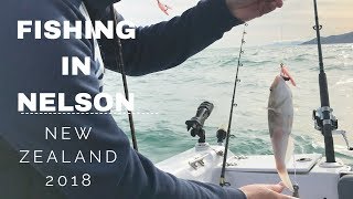 New Zealand 2018 -  Fishing in Nelson