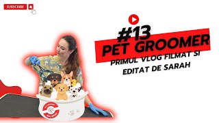 Vlog 13 I Meseria de Pet Groomer